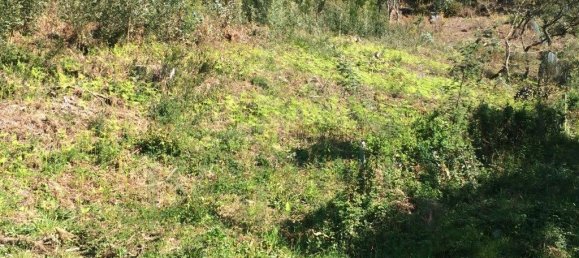 2640m² Land in Caminha, Portugal No. 51979 2