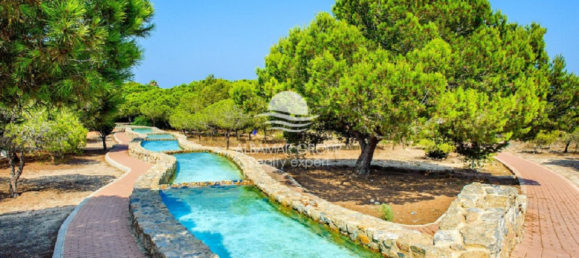 2 chambres Appartement à La Mata, Spain No. 4216 29