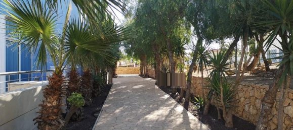 2 chambres Appartement à La Mata, Spain No. 4216 26