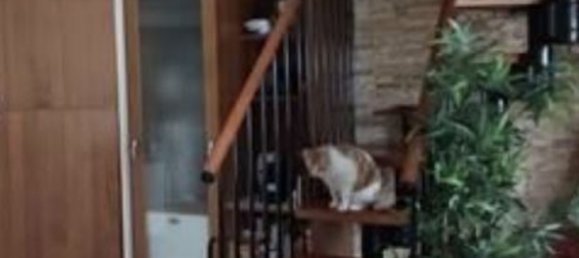 3غرفة شقة في Caponago, Italy رقم 3642 22