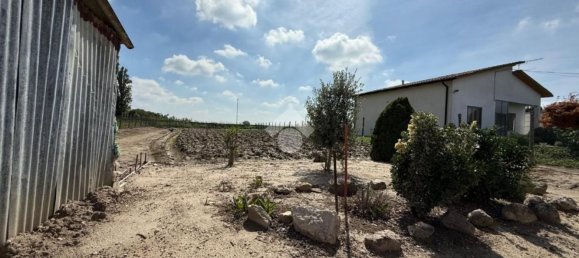 3 bedrooms House in Villadose, Italy No. 333867 22