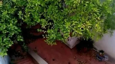 8 غرف نوم منزل في Arcos de la Frontera, Spain رقم 100074