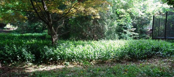 Grundstück in St. Andrä-Wördern, Austria 565m², Nr. 124346 2