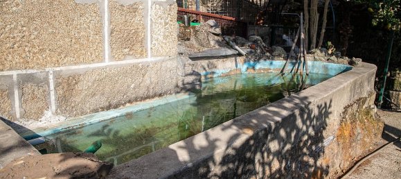 3 bedrooms House in Baiao, Portugal No. 183954 26