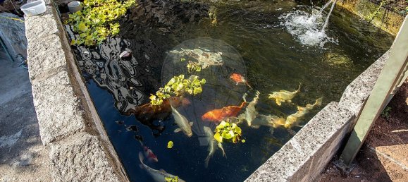 3 bedrooms House in Baiao, Portugal No. 183954 38