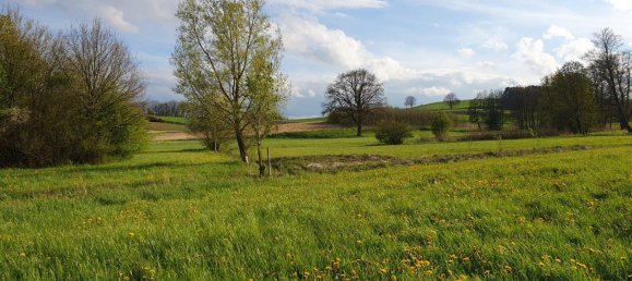 Земельный участок в Эрдинг, Германия № 224275 2