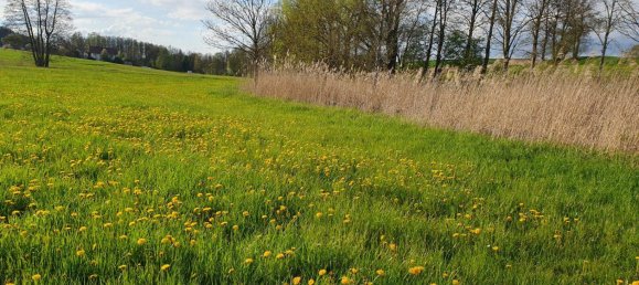 Земельный участок в Эрдинг, Германия № 224275 3