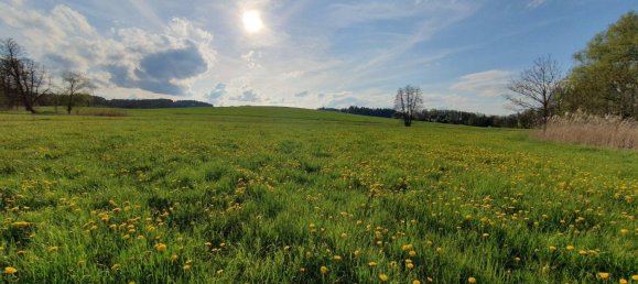 Земельный участок в Эрдинг, Германия № 224275 4