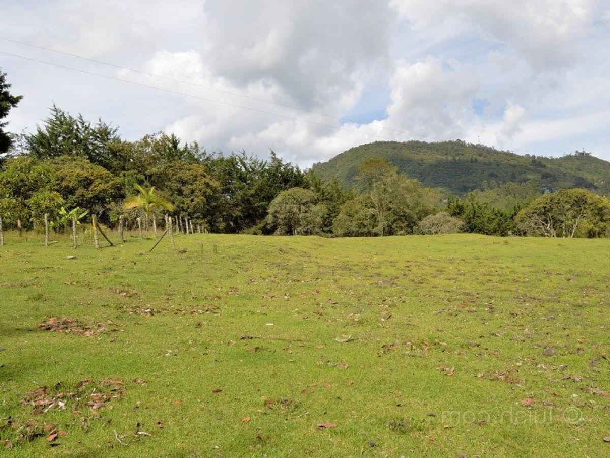 Terreno en Antioquia, Colombia No. 176