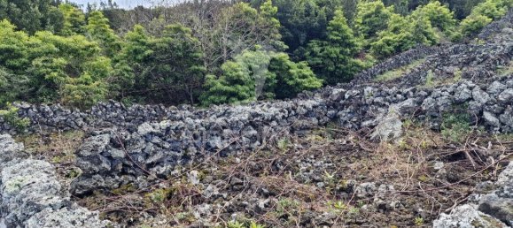  قطعة أرض في Praia da Vitoria, Portugal 3872متر مربع رقم 60321 8