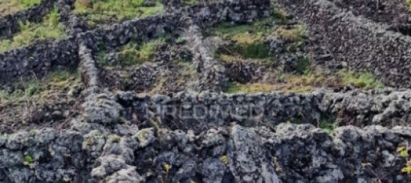  قطعة أرض في Praia da Vitoria, Portugal 3872متر مربع رقم 60321 16