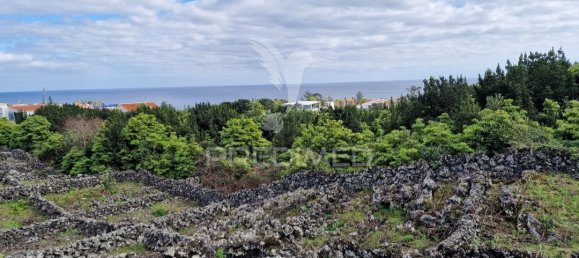  قطعة أرض في Praia da Vitoria, Portugal 3872متر مربع رقم 60321 14