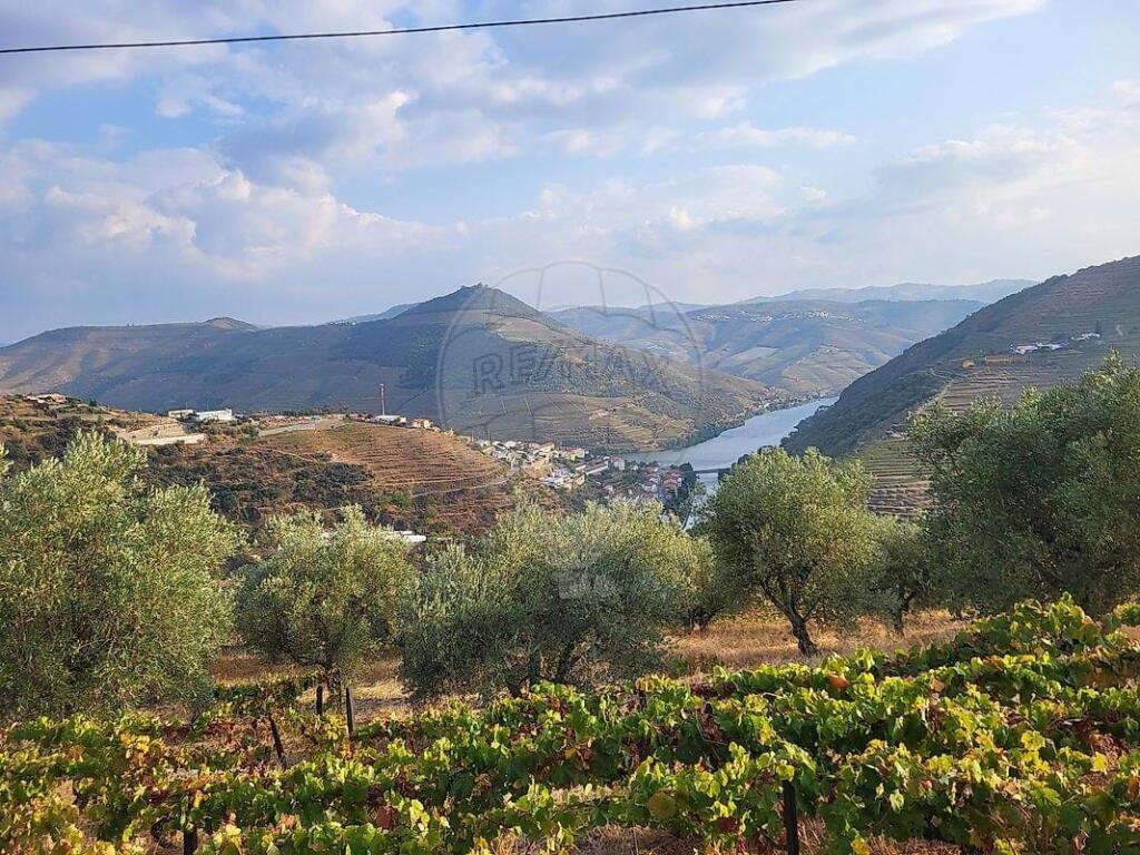 2 غرف نوم فيلا في Sabrosa, Portugal رقم 21584