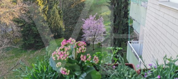 2 bedrooms Apartment in Linz, Austria No. 161783 8