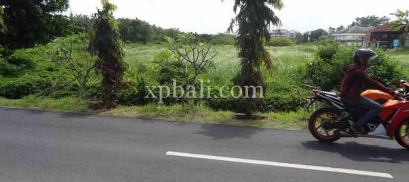 Земельный участок 9600м² в Tampaksiring, Индонезия № 4152 6
