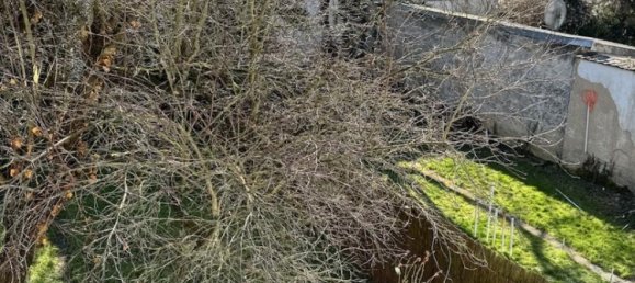 2-Zimmer Wohnung in Bonn, Germany, Nr. 338356 5