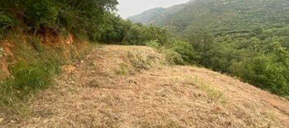 Terrain à Ceriale, Italy 10000m² No. 309292 4