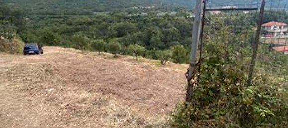 Terrain à Ceriale, Italy 10000m² No. 309292 2