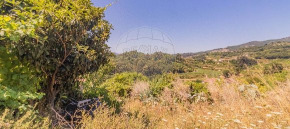 3 غرف نوم منزل في Baiao, Portugal رقم 184837 19