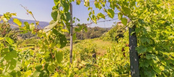 3 غرف نوم منزل في Baiao, Portugal رقم 184837 20