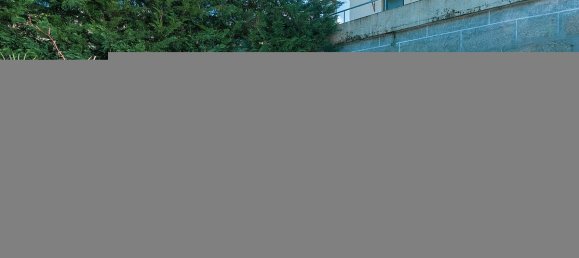 Casa de 2 dormitorios en Santa Marinha do Zezere, Portugal No. 22272 9