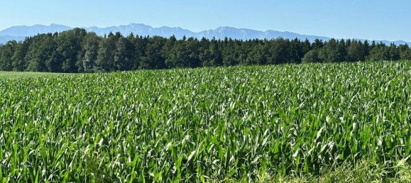 5-salle Maison à Neukirchen an der Vockla, Austria No. 134761 39
