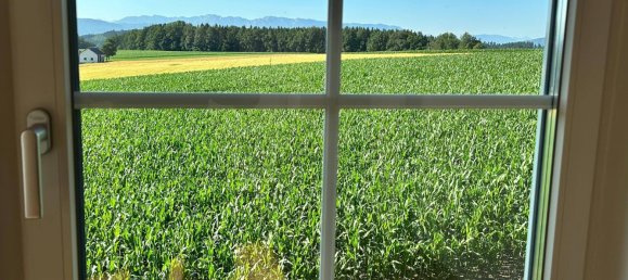 5-salle Maison à Neukirchen an der Vockla, Austria No. 134761 24