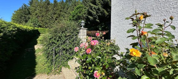 5-salle Maison à Neukirchen an der Vockla, Austria No. 134761 6