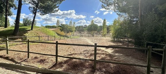 9 bedrooms Castles in Benavente, Portugal No. 173420 5