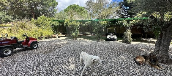 9 bedrooms Castles in Benavente, Portugal No. 173420 24