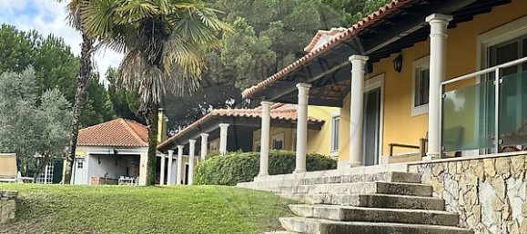 9 bedrooms Castles in Benavente, Portugal No. 173420 10