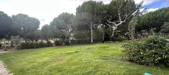 9 bedrooms Castles in Benavente, Portugal No. 173420 12