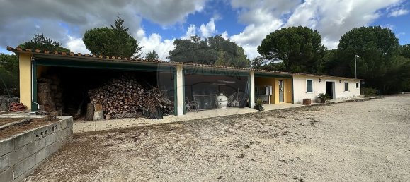 9 bedrooms Castles in Benavente, Portugal No. 173420 8