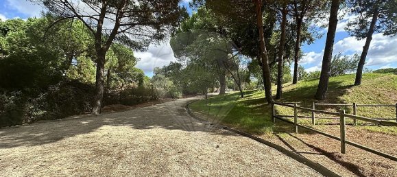 9 bedrooms Castles in Benavente, Portugal No. 173420 6