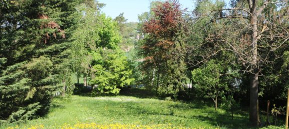 8 rooms Villa in Hagenbrunn, Austria No. 249791 35