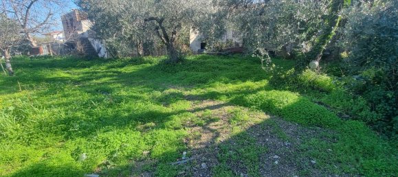 6غرفة فيلا في Ortona, Italy رقم 212312 6