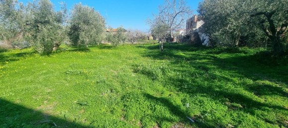 6غرفة فيلا في Ortona, Italy رقم 212312 7