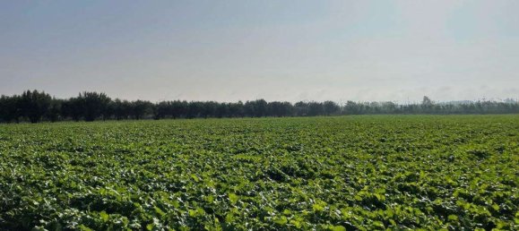 Terreno em Mondragone, Italy 27000 m² N.º 159953 3