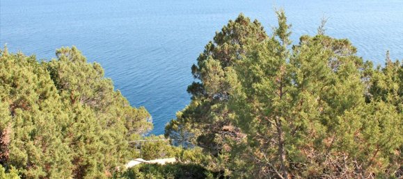 Propiedad comercial de 4 dormitorios en Euboea, Greece No. 7603 29