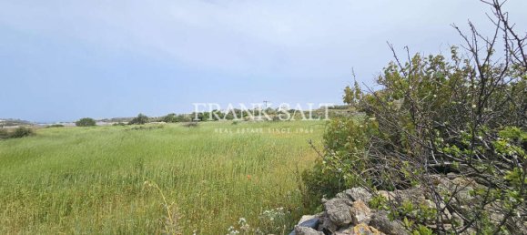 Grundstück in Mgarr, Malta 1686m², Nr. 13299 2