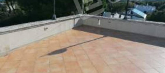 4 bedrooms Apartment in Giovinazzo, Italy No. 41151 41