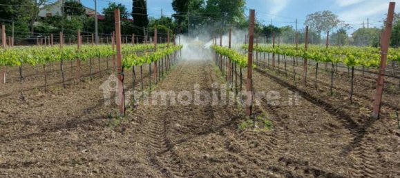 Villa de 8 dormitorios en Fontanarosa, Italy No. 267449 14