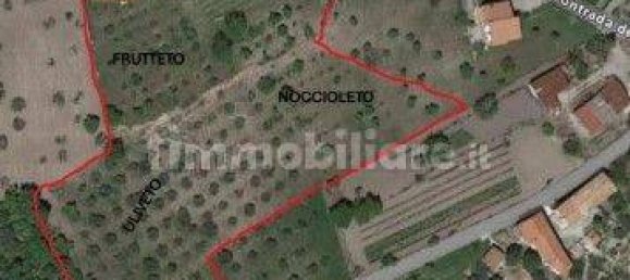 Villa de 8 dormitorios en Fontanarosa, Italy No. 267449 15