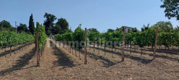 Villa de 8 dormitorios en Fontanarosa, Italy No. 267449 13