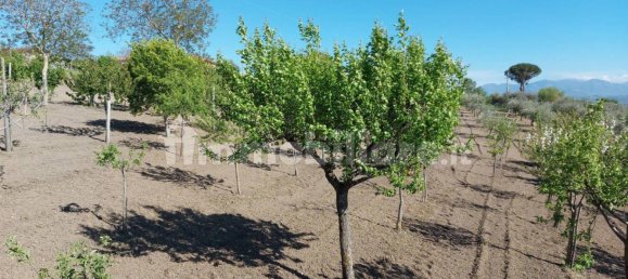 Villa de 8 dormitorios en Fontanarosa, Italy No. 267449 11