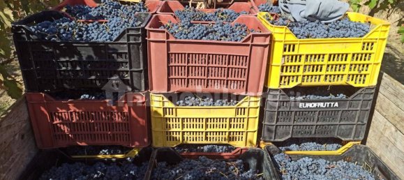 Villa de 8 dormitorios en Fontanarosa, Italy No. 267449 10