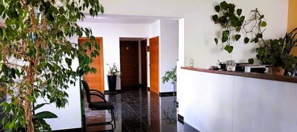 Büro in Wiener Neustadt, Austria 145m², Nr. 132714 9