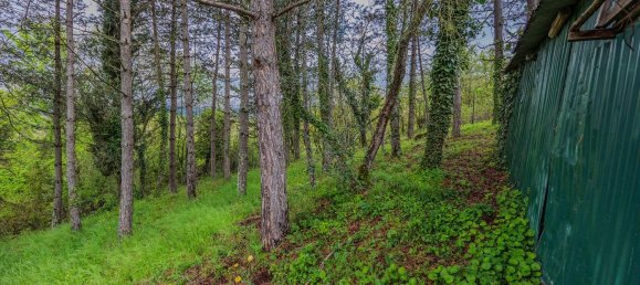 10 rooms House in San Giovanni Valdarno, Italy No. 79797 3