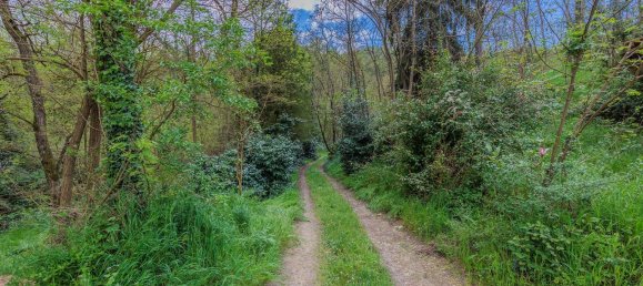 10 rooms House in San Giovanni Valdarno, Italy No. 79797 4