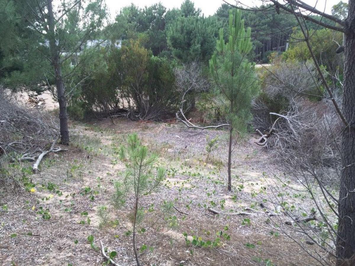  Land in Mar del Plata, Argentina No. 115802